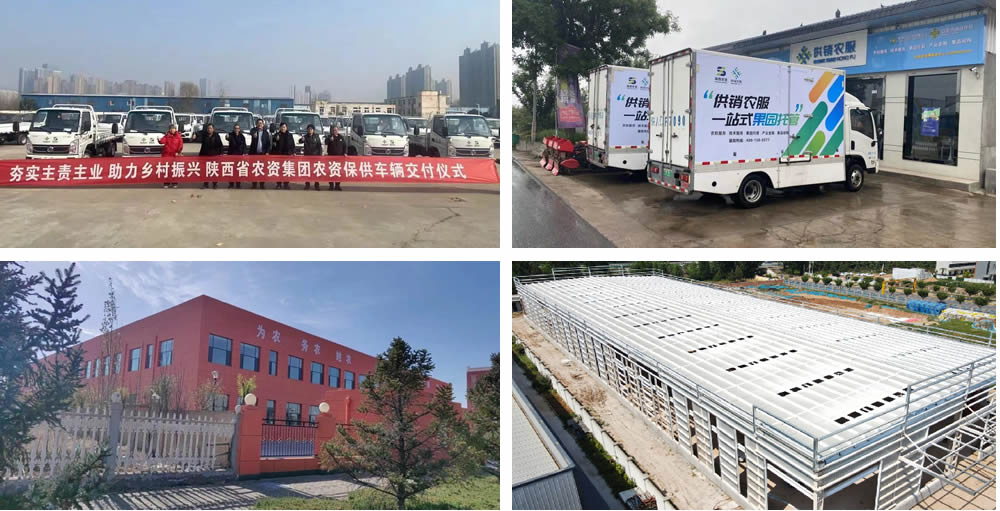 1720683102108306.jpg 356.jpg